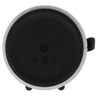 Яндекс.Станция Стрит, Gray, серый