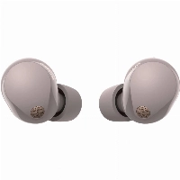 Sony WF-1000XM5, Pink, розовый