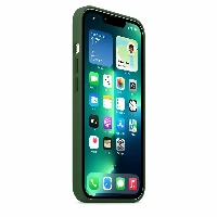 Apple iPhone 13 Pro Silicone Case (MM2F3), Clover, зеленый