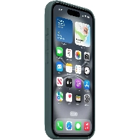 iPhone 16 Plus Silicone Case (MYYH3), lake green, Зеленый