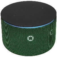 Умная колонка Яндекс Новая Станция Мини 3 Про, зеленый