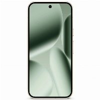 Google Pixel 10 Pro, 16/256 GB, CA, Jade Green, зеленый