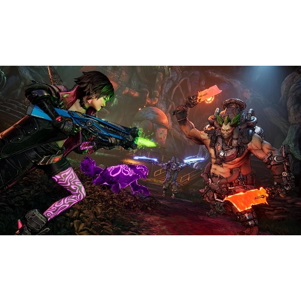 Игра Borderlands 4, для PlayStation 5