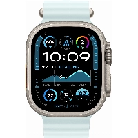 Смарт-часы Apple Watch Ultra 2 2024 49 мм, Natural Titanium Case with Black Ocean Band
