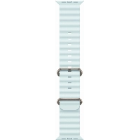 Смарт-часы Apple Watch Ultra 2 2024 49 мм, Natural Titanium Case with Black Ocean Band