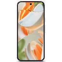 Смартфон Google Pixel 9 Pro, 16/256 GB, JP, Porcelain 
