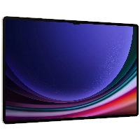 Планшет Samsung Galaxy Tab S9 Ultra Wi-Fi, 12/512GB, Graphite, серый 